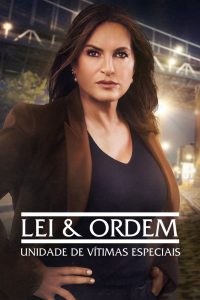 Lei & Ordem: Unidade de Vítimas Especiais: 22 Temporada